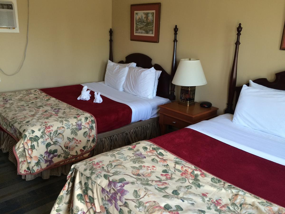 E-Lodge Near The Falls Καταρράκτες του Νιαγάρα Εξωτερικό φωτογραφία